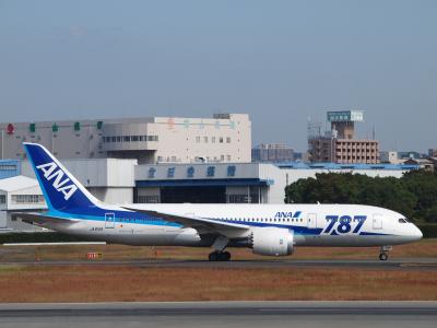 伊丹スカイパークで７８７を撮る