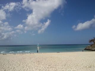 沖縄西海岸ダイビング！10月からレンタル無料！6ボートダイブ！