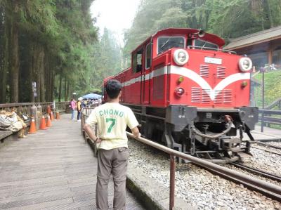 阿里山に行った。