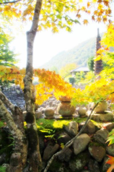 よっしゃ、京都へ行くどす(ぇ)！2012。　化野念仏寺へ。