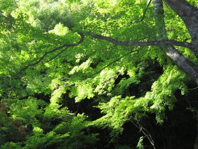 '12 秋の行楽☆近畿　10月編