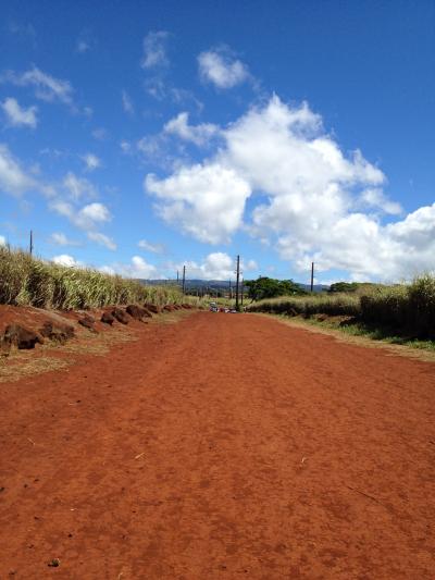アウラニディズニーに泊まる♪ まずは半日観光。空港~ノースショア~ホテルへ