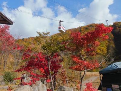 秋の奥飛騨･開田高原･赤沢自然休養林　紅葉ドライブ１泊２日の旅　その１