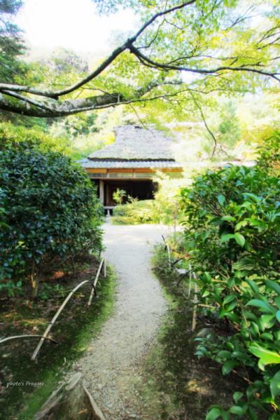 よっしゃ、京都へ行くどす(ぇ)!2012。 滝口寺。