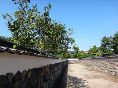 秋の津和野・萩＊高齢親子旅＊萩編