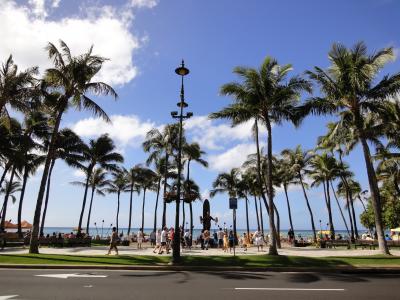 2011 Have a nice Hawaii 