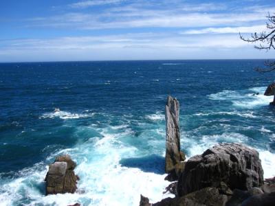 東北横断ツアー day4 釜石~気仙沼~平泉~須川温泉