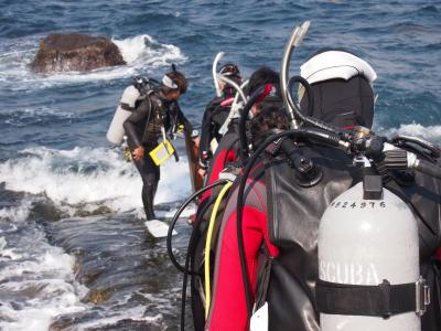 2012 今年初の国内ダイビング!初島で潜って、熱海で反省会!?してきました