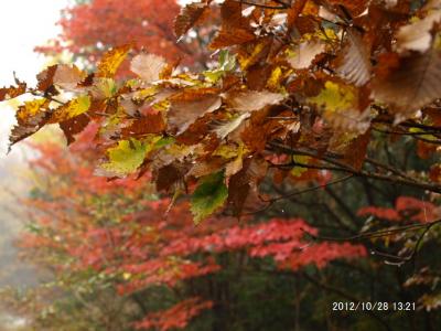 孫とふれあい6人旅