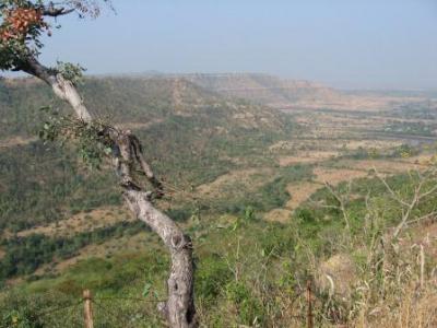 インド悠久文明の旅13日間（5）アウランガバード?　デカン高原の風景