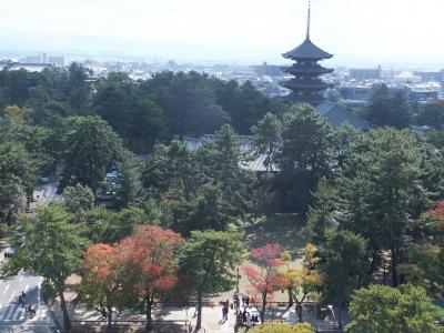 奈良国立博物館での正倉院展  （日帰りお出かけ）