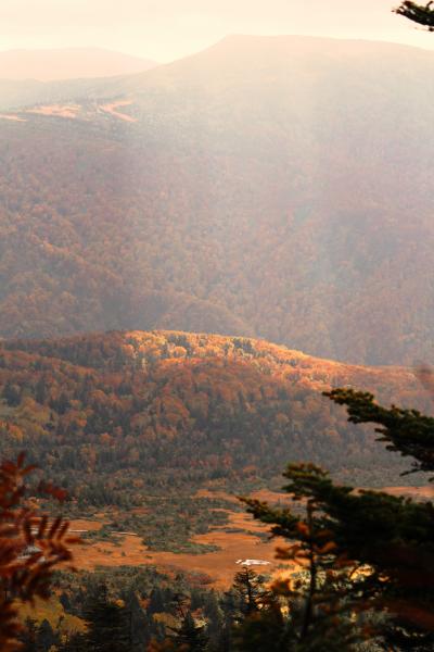 那須・東北・日光の紅葉を求めて3,000ｋｍの旅（弘前城・中野もみじ公園・城ケ倉大橋・八甲田）