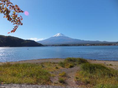 群馬　栃木　埼玉　山梨　静岡　を巡る旅　11日目