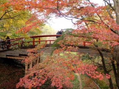 伊香保温泉・河鹿橋の紅葉・榛名湖