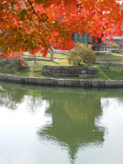 紅葉がきれい～わくわくソウル旅行♪