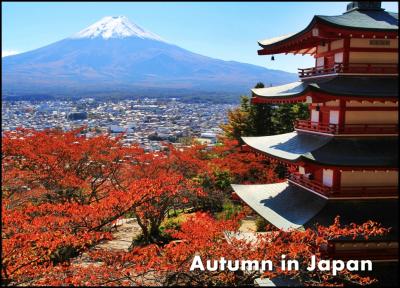 さわやか紅葉ドライブ♪　富士山周辺で日本の秋を満喫しよう