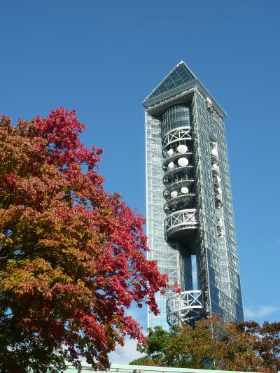 紅葉もほんのりと～♪　名古屋市東山動物園
