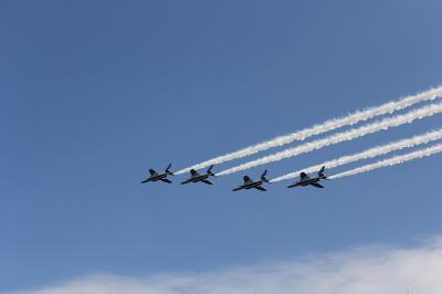 埼玉県編『入間  航空祭』