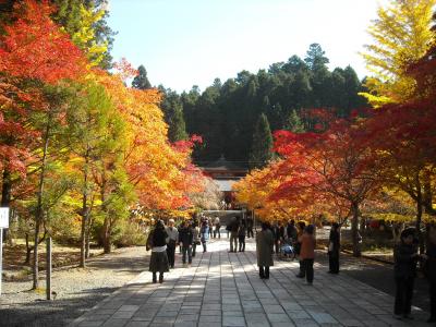 世界遺産・紅葉の高野山を訪ねる