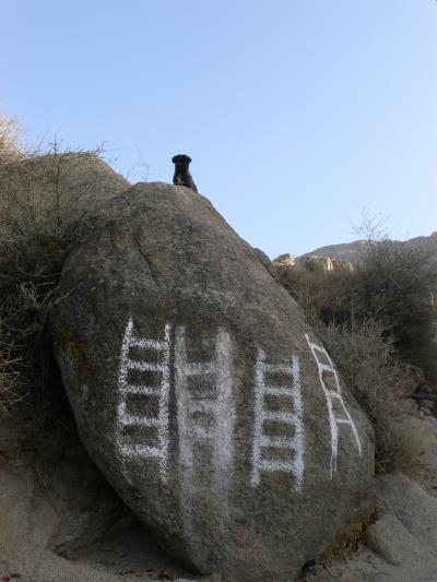 冬のチベット巡礼６