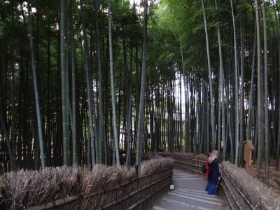 初秋の嵯峨野を散策　京都市～二尊院・化野念仏寺～