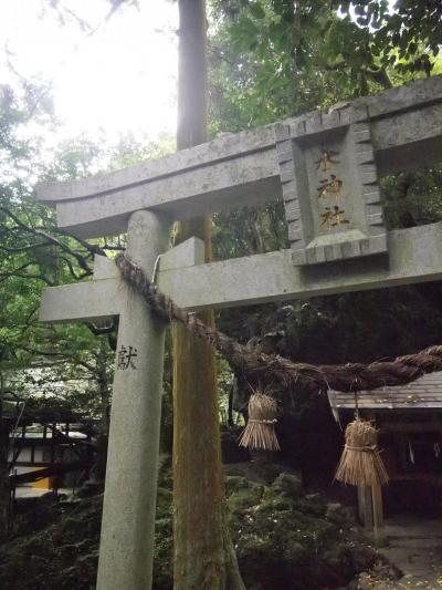 はらぺこ散歩道【そろそろ見頃!?…秋の水神公園】