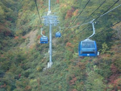 苗場湯沢、紅葉を探す旅