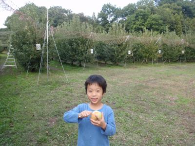 神戸盛りだくさん旅