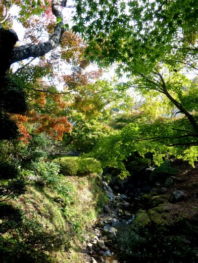 家族旅行2012秋・初めて関東方面へ03御殿場のホテル・時之栖その３庭園散策