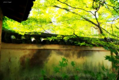 よっしゃ、京都へ行くどす(ぇ)！2012。　宝厳院～弘源寺～法輪寺。