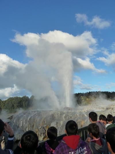 今年の夏も南半球へ～NZ⑦～（オークランド発ワイトモ・ロトルア1日バスツアー）