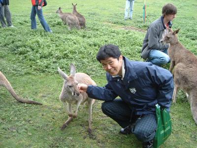 オーストラリア紀行　～　フィリップ島のペンギンもワイナリーに行けば千鳥足かぁ？