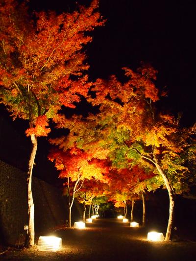 富士吉田市・もみじ祭り～心静かに紅葉を観る会～★紅葉のグラデーションを楽しもう！