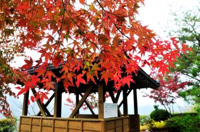 紅葉の羅漢寺