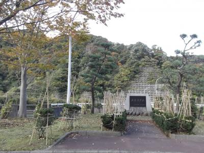 上越市民の水がめ、正善寺ダムの紅葉。