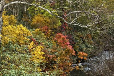 北海道の「秋」