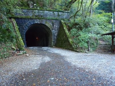 伊豆・天城山（100名山）縦走の山旅記