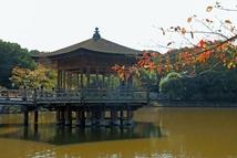 古都の秋２０１２①