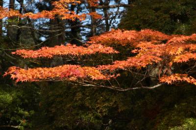 和歌山県への１泊ドライブ・①高野山の紅葉