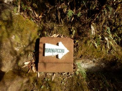 ペルーの旅 ~マチュピチュ・ワイナピチュ~