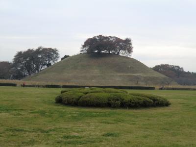 2012年11月　のぼうの城・忍城水攻め史跡、さきたま古墳群