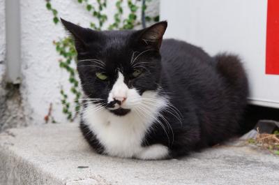 ☆エアアジアで行く2012今年2度目の姉と2人旅行~沖縄那覇~☆