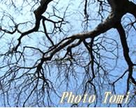 都会の中で自然が楽しめる所!