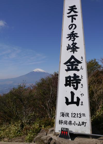 【ハイキング】三度目の正直 金時山