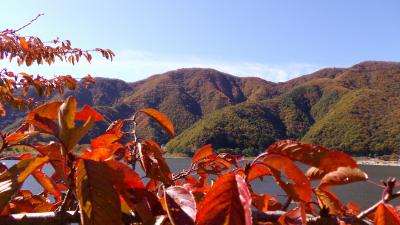山梨・紅葉ドライブ★秋の本栖湖＆精進湖+田舎カフェ　オーチャードでのランチ♪
