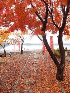 河口湖もみじ狩り