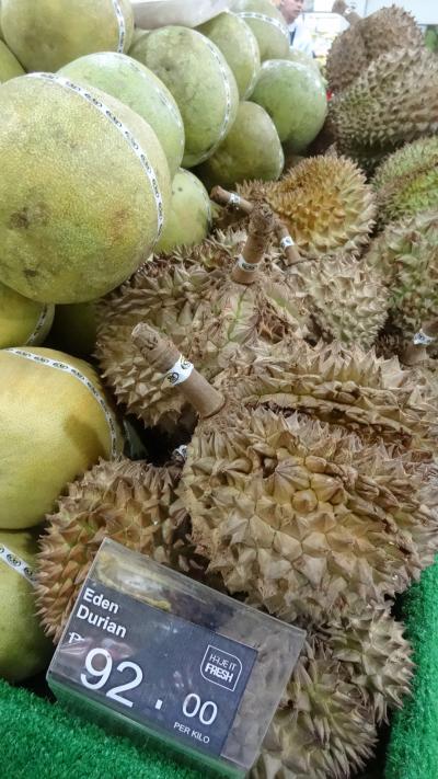 子連れフィリピン（セブ島）