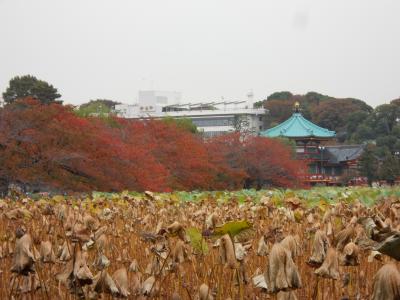 東京散歩『秋色の上野公園』