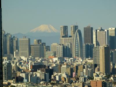 秋晴れの都心で富士山と菊花壇観賞