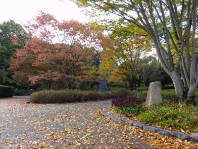 秋を探しに馬見丘陵公園